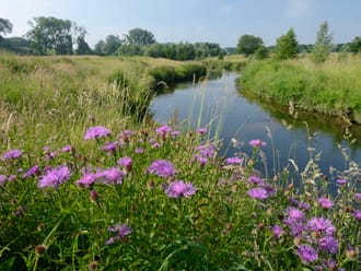 Geleenbeekdal
