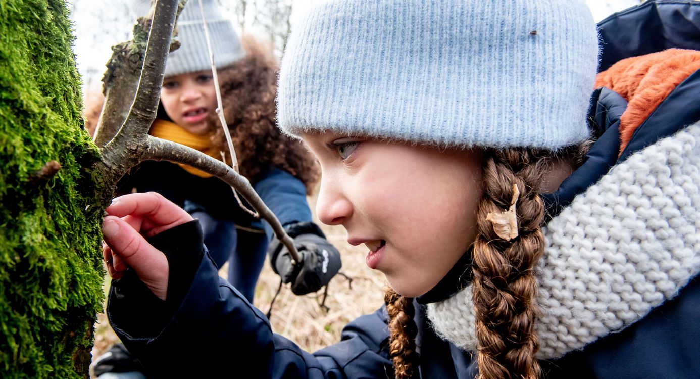Speelnatuur OERRR Speelnatuur OERRR