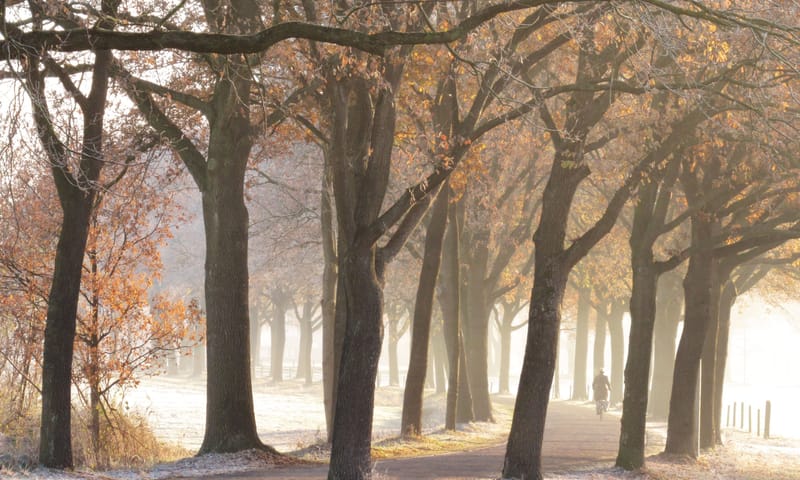 Twente fietsen
