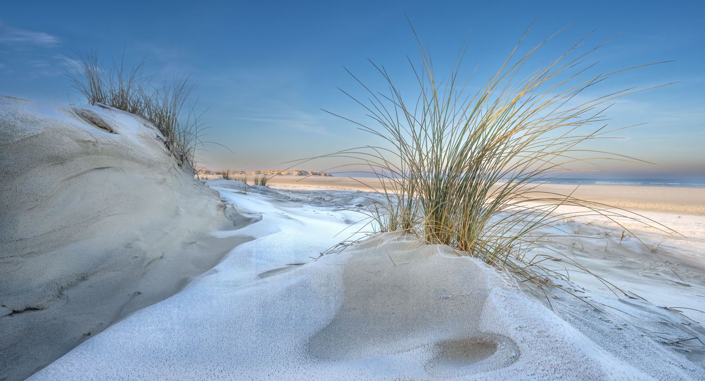 Duinen