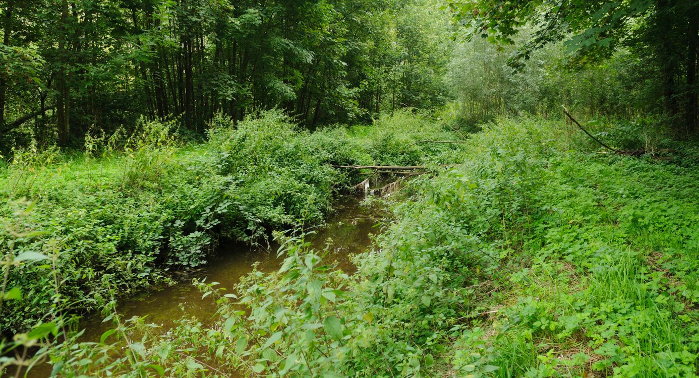 Natuurgebied Terworm