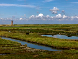 Nationaal Park Oosterschelde