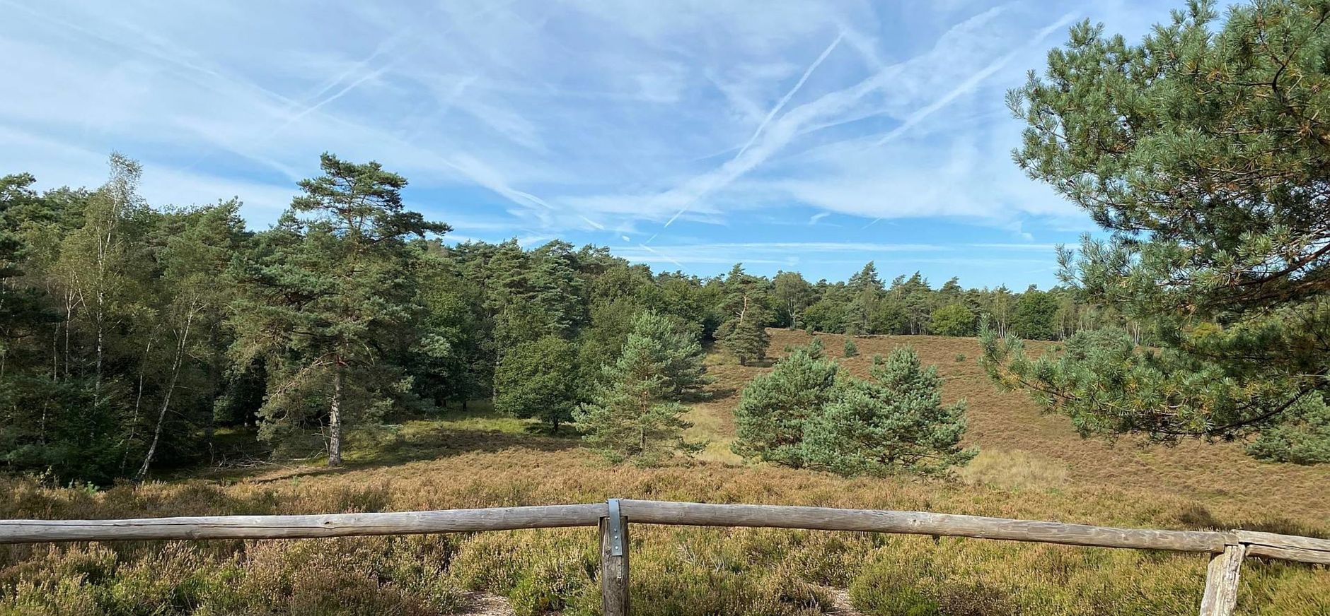 Uitkijkpunt Reeënberg 