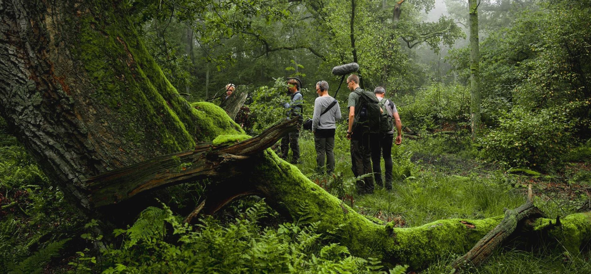 Wolfheze in nevelachtige sfeer tijdens opnamedag Vroege Vogels