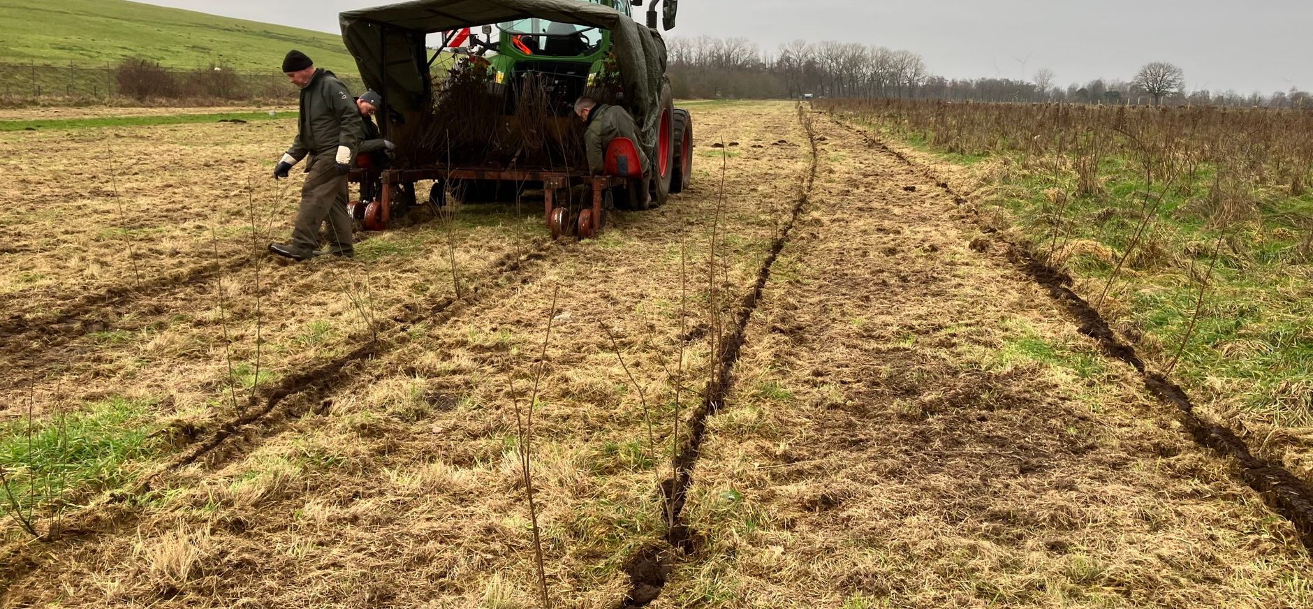 16.000 bomen zijn aangeplant op Huis ter Heide 16.000 bomen worden aangeplant op Huis ter Heide