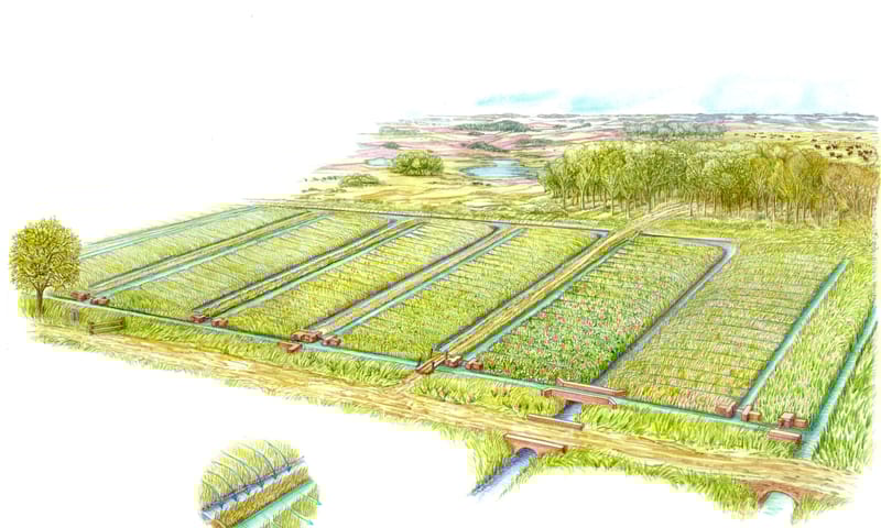 Illustratie werking vloeiweiden Schematische weergave vloeiweiden