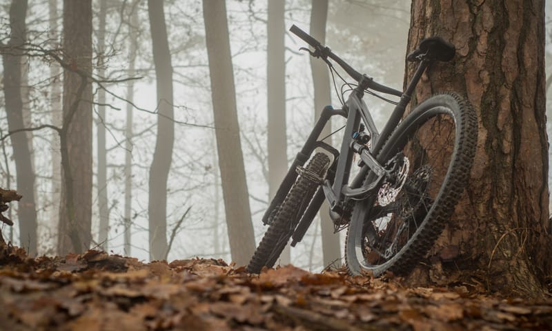 MTB