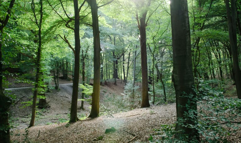Sint-Jansberg Sint-Jansberg