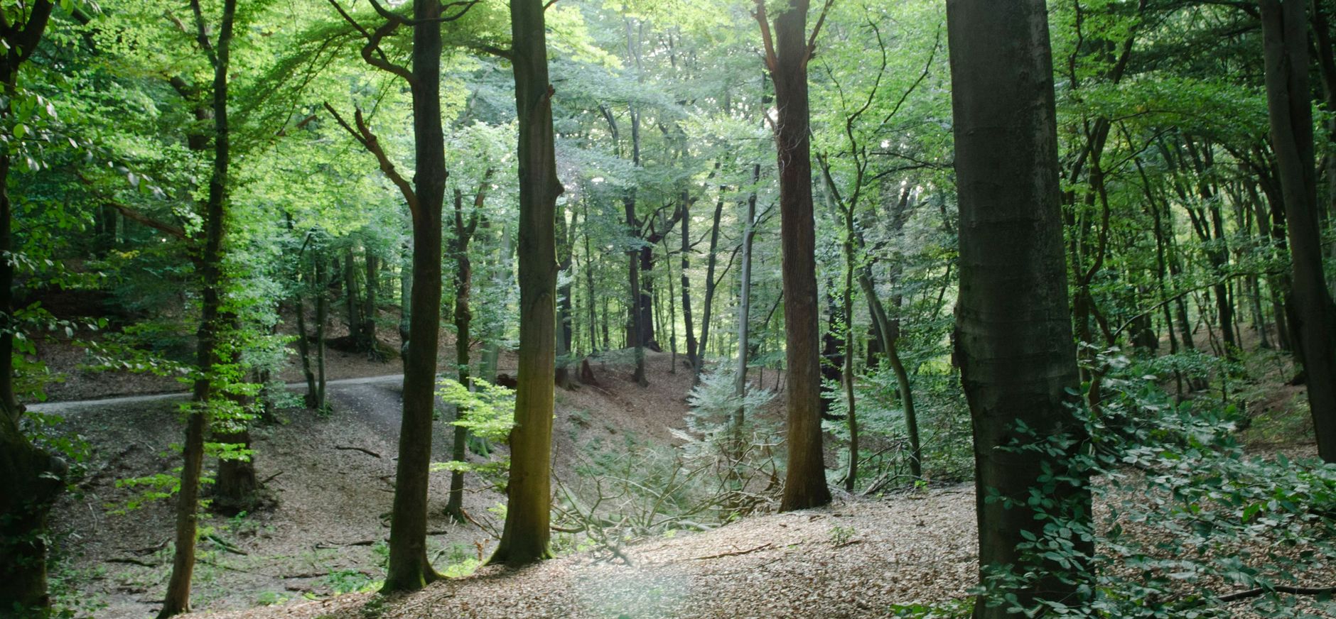 Sint-Jansberg Sint-Jansberg