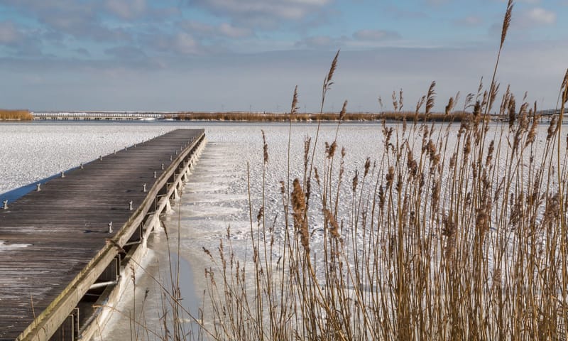 Marker Wadden