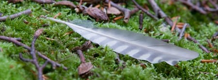 OERRR Spoorzoeken met de boswachter Sporen Buitenplaats Boekesteyn