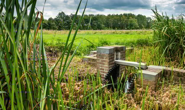 De Plateaux Pelterheggen