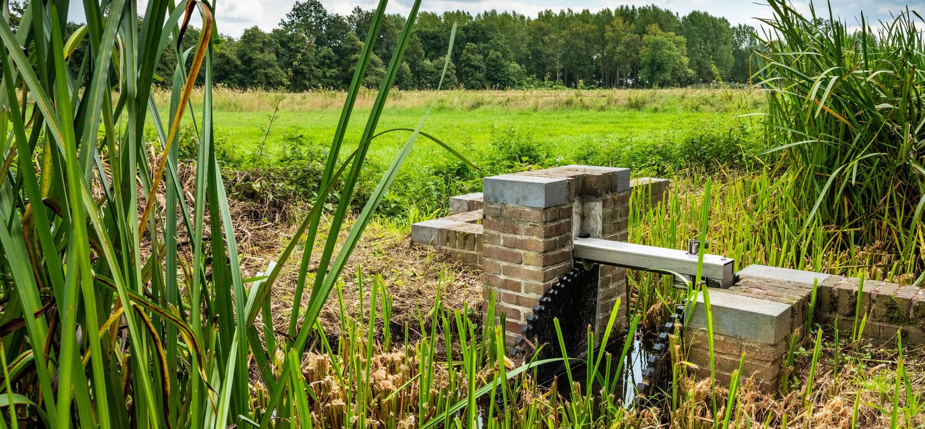 De Plateaux Pelterheggen