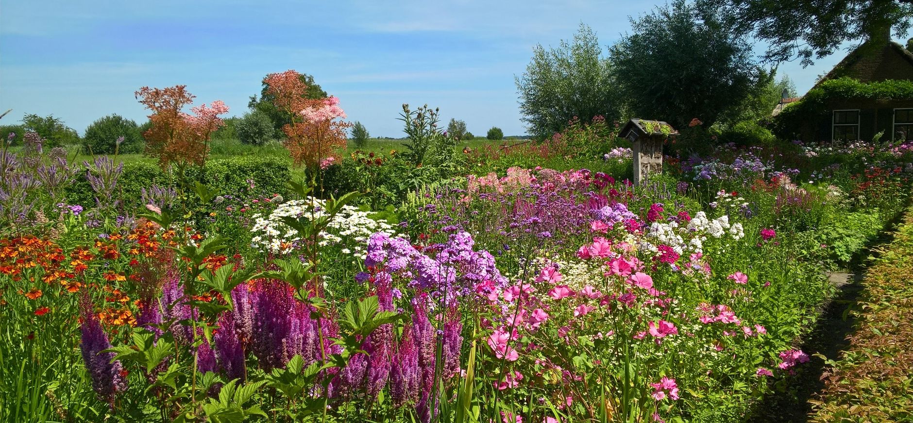 Tuin Bezoekerscentrum De Wieden
