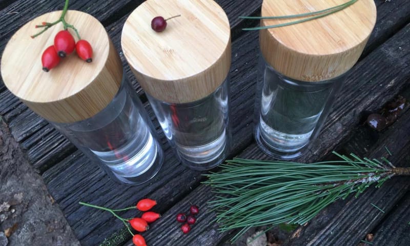 Thee uit de natuur rozenbottel