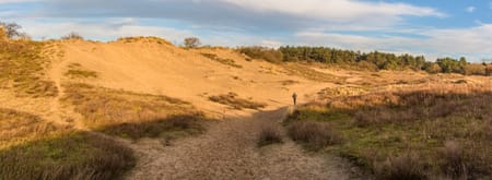 Trailrun Schiermonnikoog 