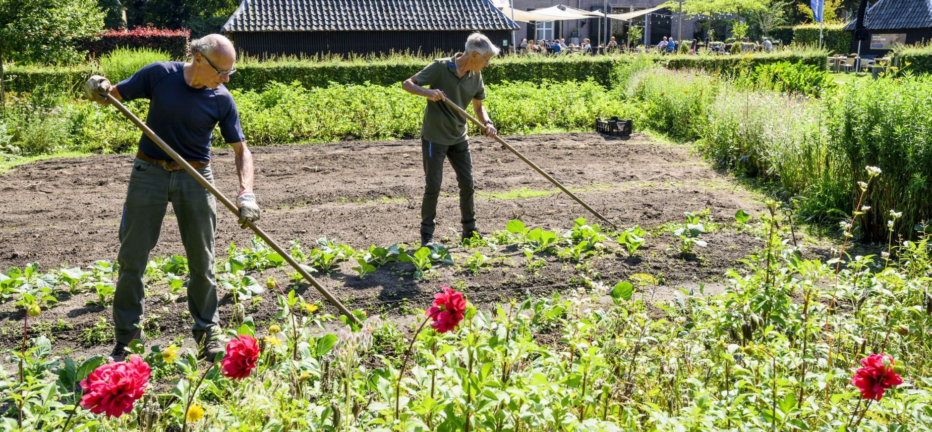 De prachtige moestuin op Hackfort is een lust voor het oog De prachtige moestuin op Hackfort is een lust voor het oog