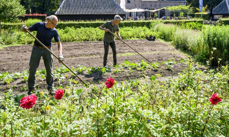 De prachtige moestuin op Hackfort is een lust voor het oog De prachtige moestuin op Hackfort is een lust voor het oog
