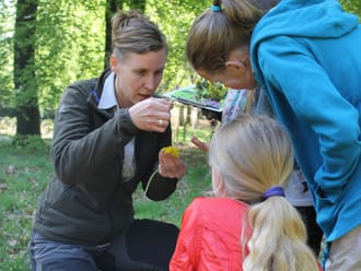 Natuureducatie