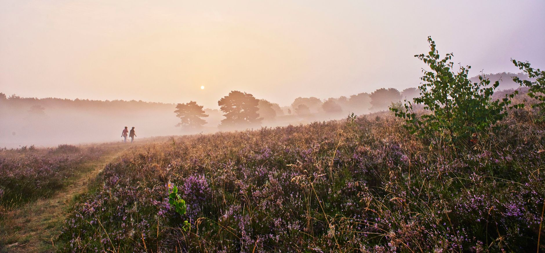 Limburg