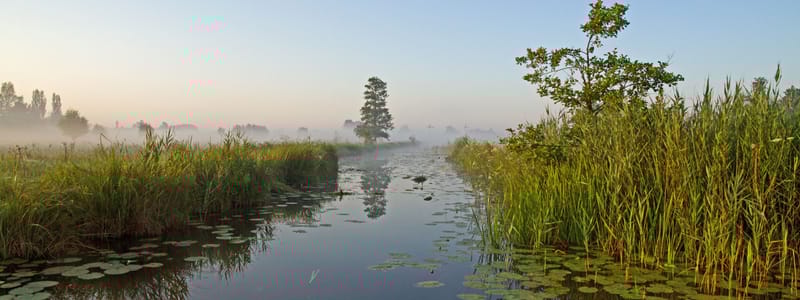 nationaal park weerribben wieden