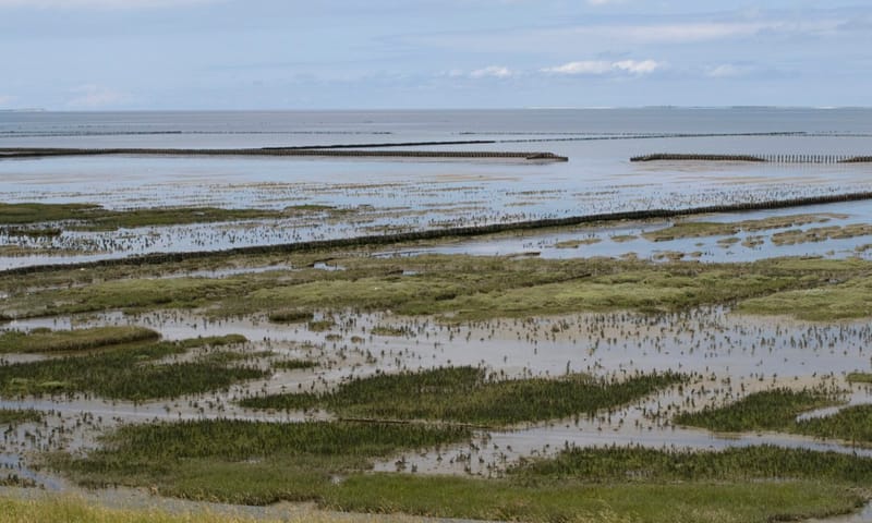 Uithuizerwad