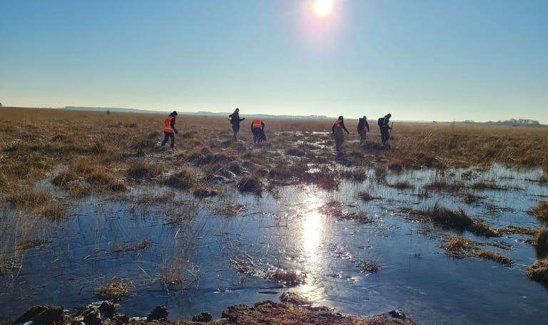 Hoogveenherstel Fochteloërveen