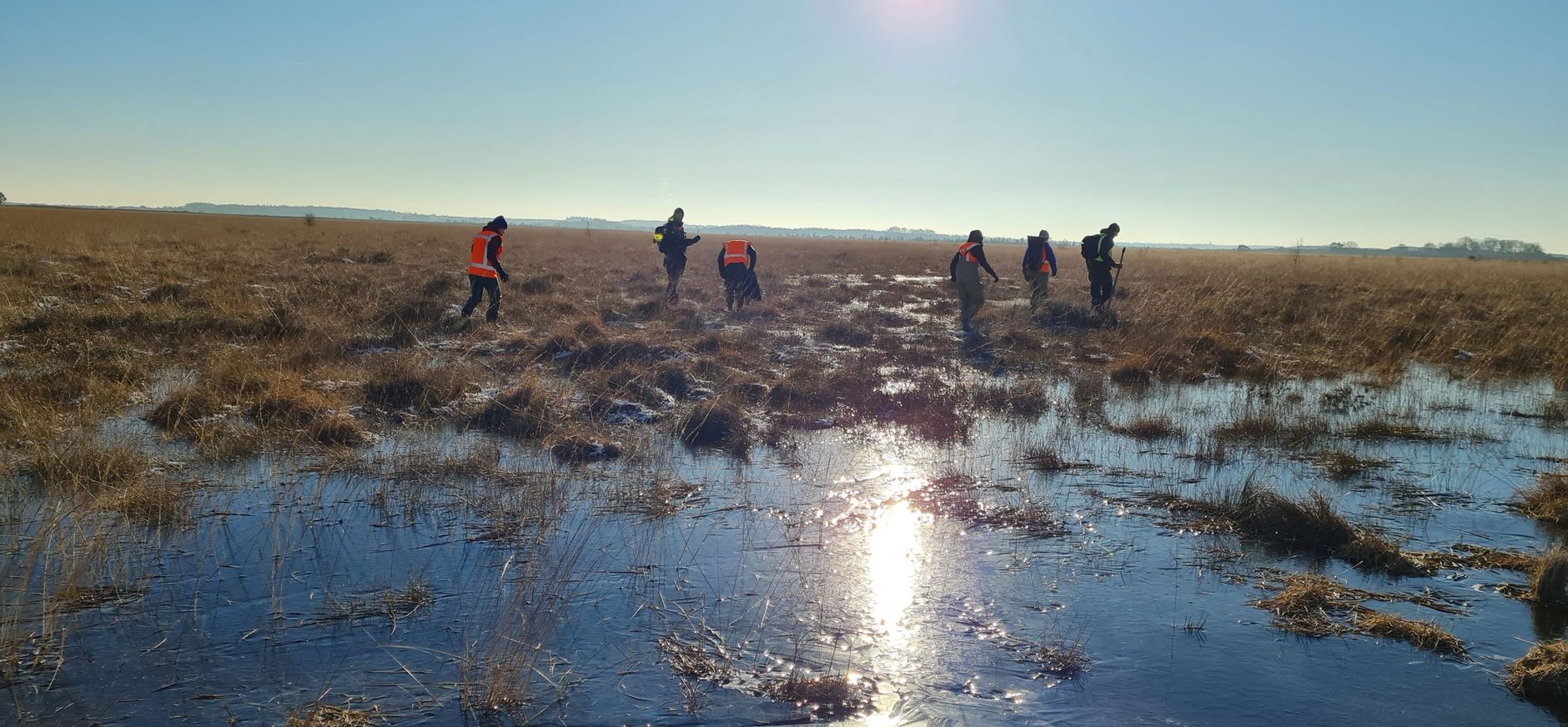 Hoogveenherstel Fochteloërveen