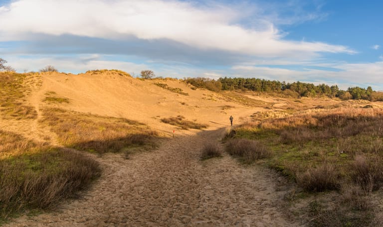Trailrun Schiermonnikoog