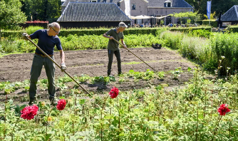De prachtige moestuin op Hackfort is een lust voor het oog