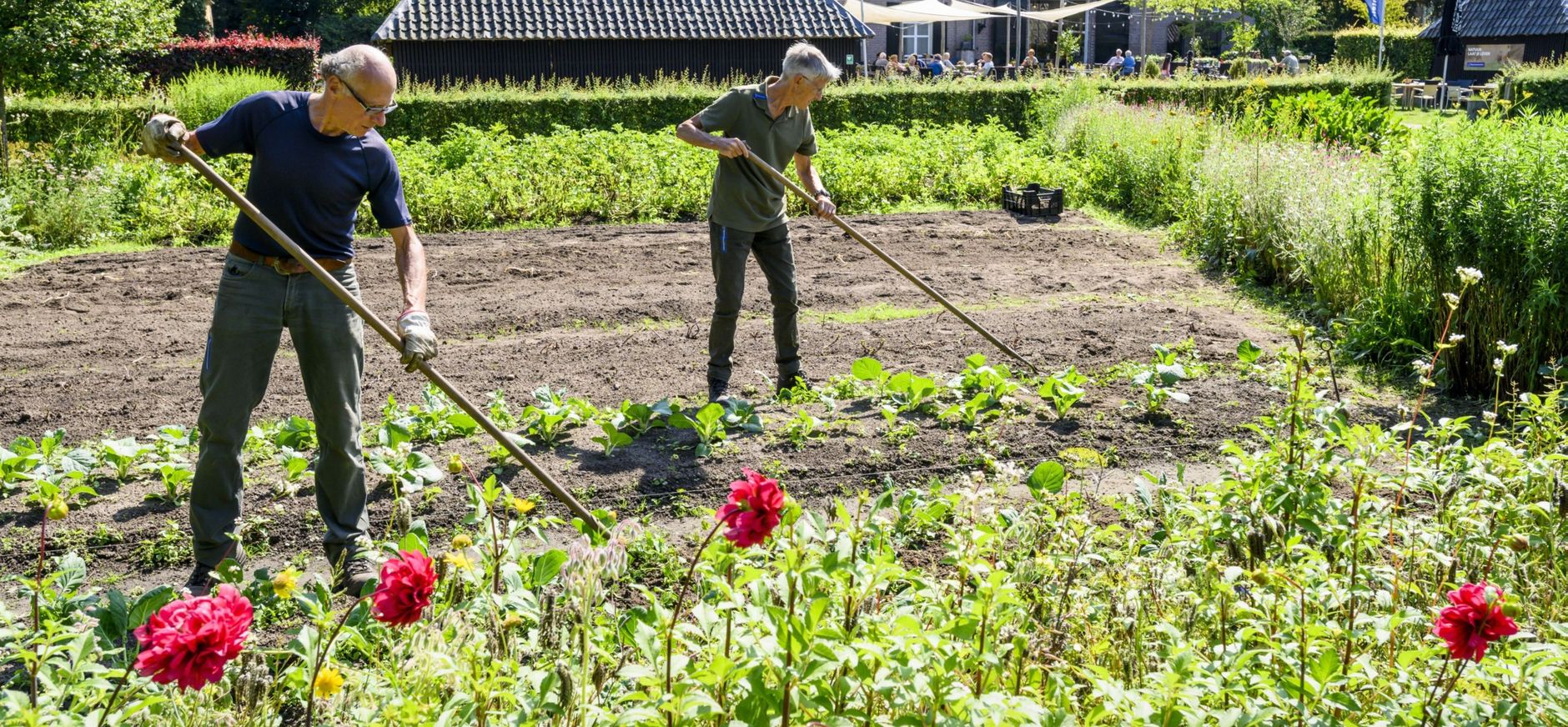 De prachtige moestuin op Hackfort is een lust voor het oog