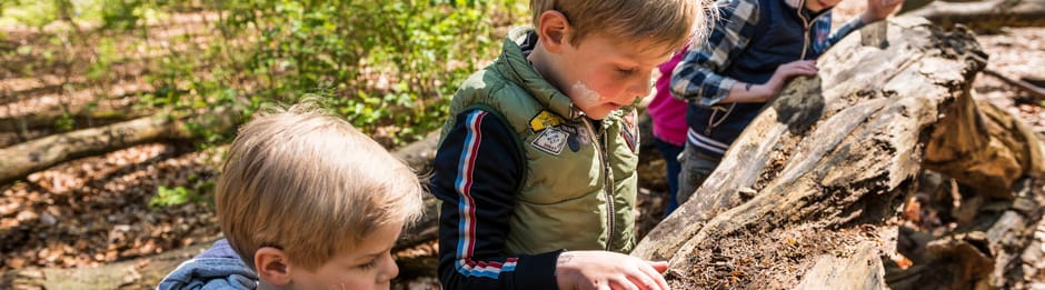 Kinderen spelen in het bos