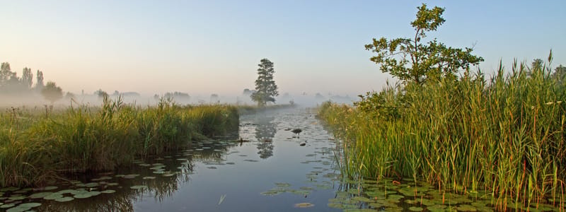 nationaal park weerribben wieden