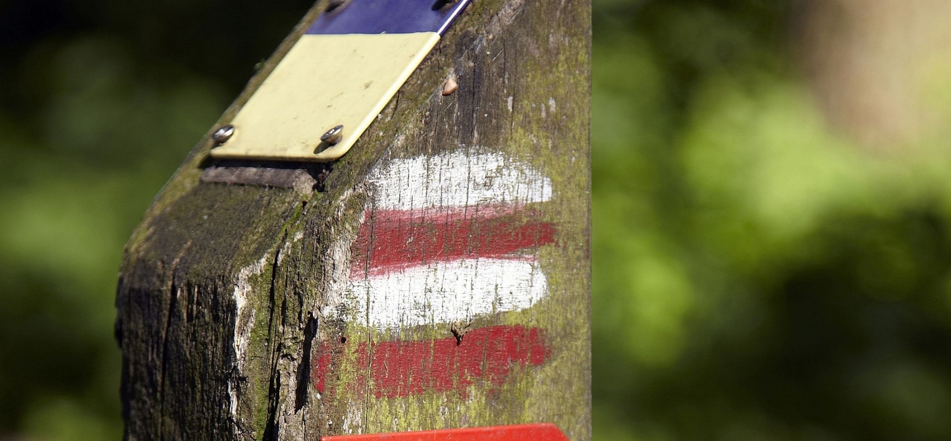 Natuurmonumenten verlegt wandelpaden Loenense bossen