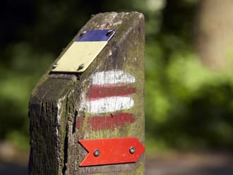 Natuurmonumenten verlegt wandelpaden Loenense bossen