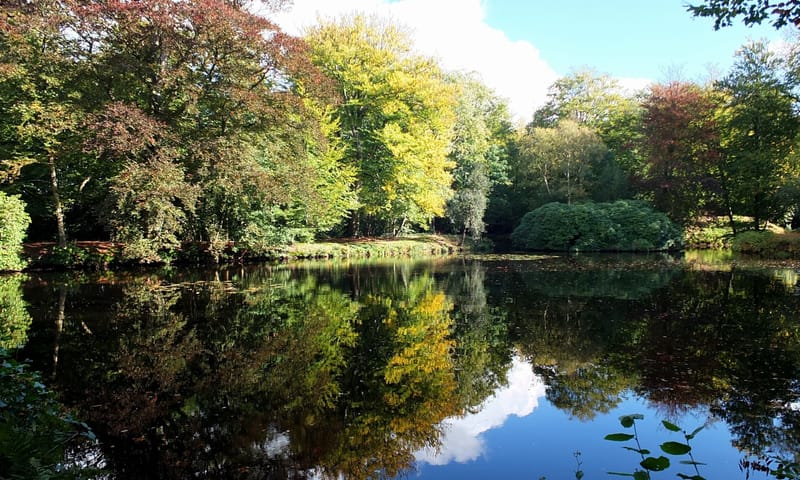 De Braak, Paterswolde