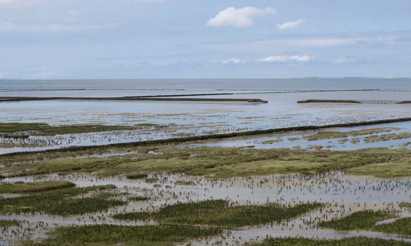 Uithuizerwad