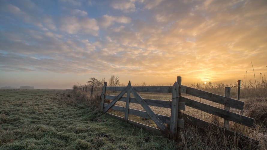 Hardlooproute Vredevoetpad, Tienhoven