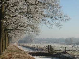 Bomenroute 's-Gravelandse Buitenplaatsen
