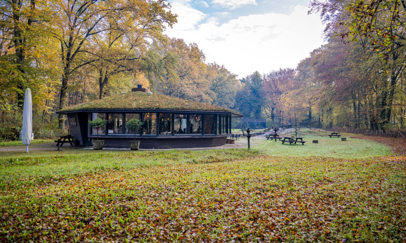 wandelen bij het Theehuis
