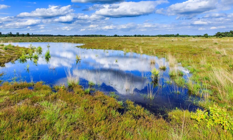 Ven in natuurgebied Plateaux