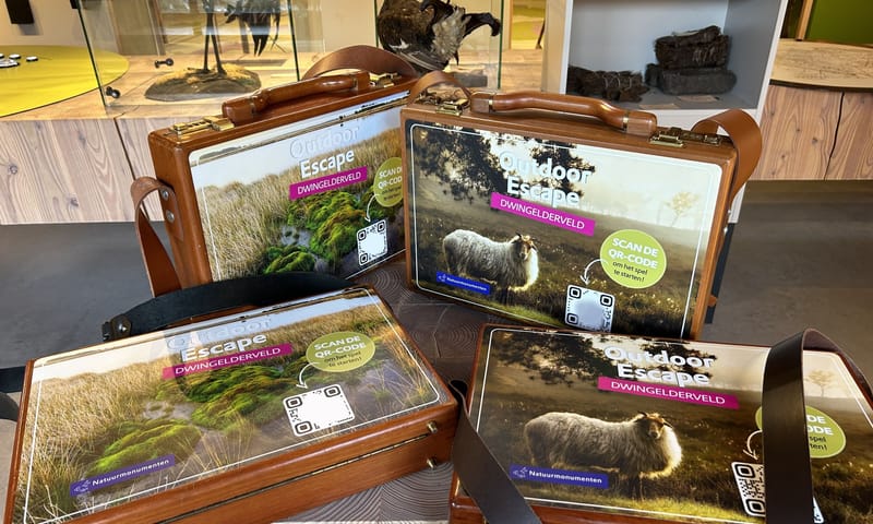 Outdoor escape Dwingelderveld