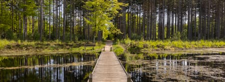 Landgoed de Slotplaats