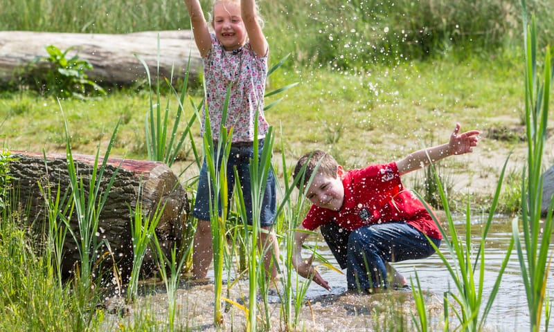 OERRR opzeggen lente