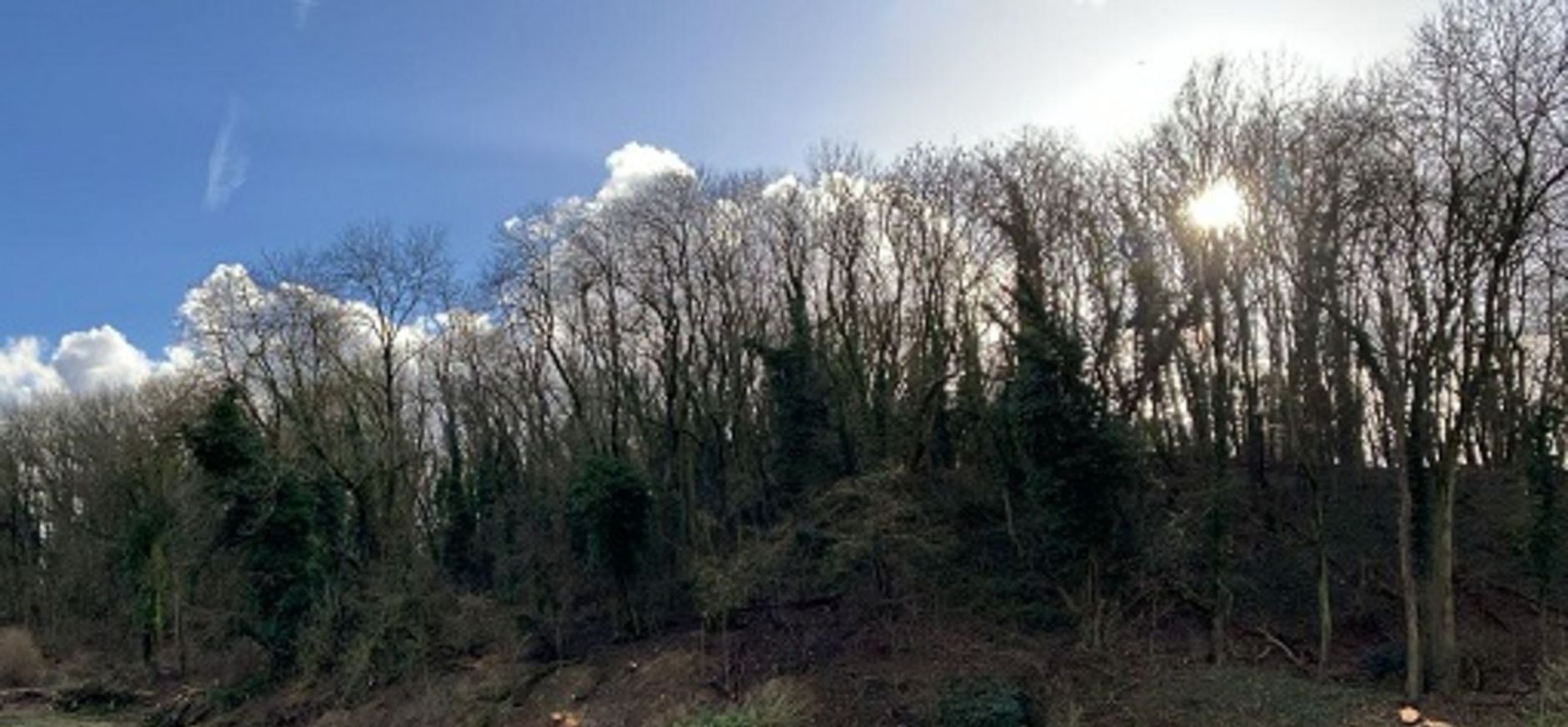 Bosrandbeheer Slavantebos Bosrandbeheer Slavantebos