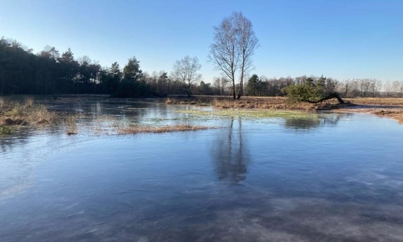 Ven in het Witte Veen Ven in het Witte Veen