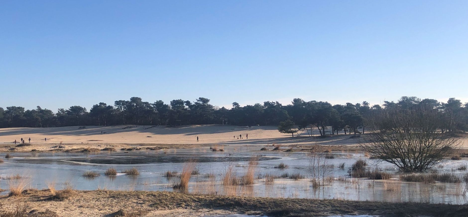 Watervlakte bij Bosch en Duin