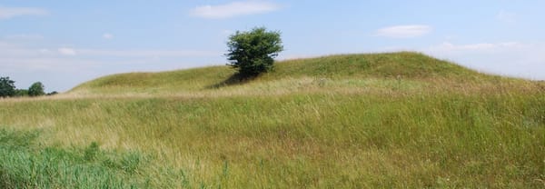 Fort in de Botshol