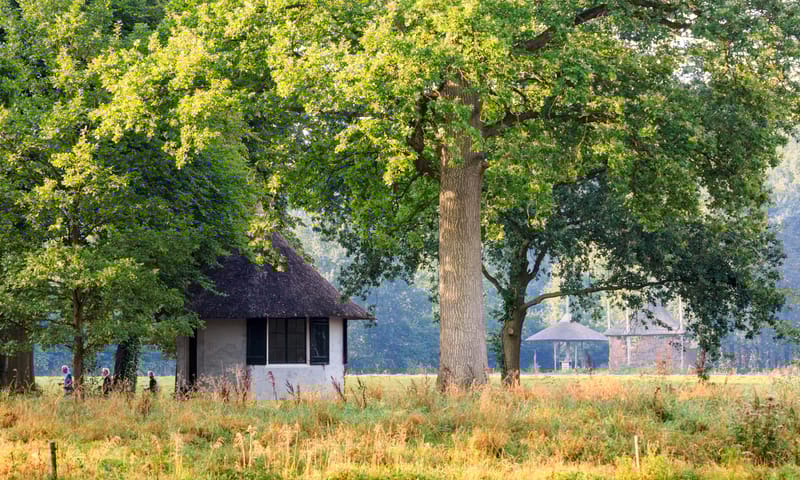 Landgoed Velhorst combinatie van natuur, cultuur en landbouw