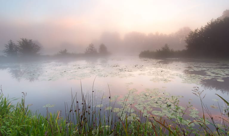 Ochtend in het Dommeldal